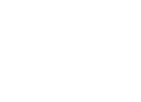 expertices